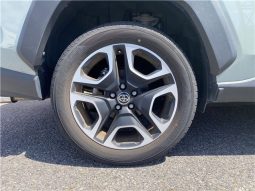 Toyota RAV4 Adventure full