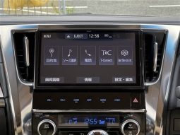 Toyota Alphard G 2019 full