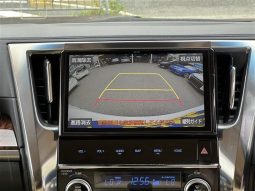 Toyota Alphard G 2019 full