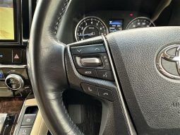 Toyota Alphard G 2019 full