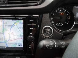 Nissan X-Trail 20Xi 2019 full