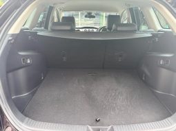 Mazda CX-7 Cruising package 2010 full