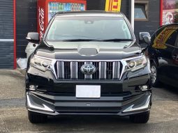 Toyota Land Cruiser Prado TX full