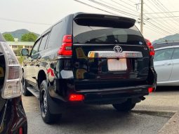 Toyota Land Cruiser Prado TX full