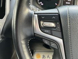 Toyota Land Cruiser Prado TX full