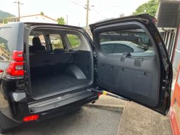Toyota Land Cruiser Prado TX full