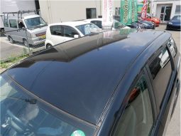 Toyota Wish 2.0 Z 2009 full
