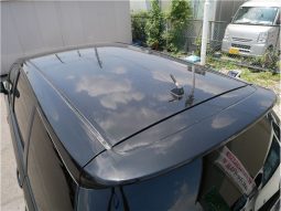 Toyota Wish 2.0 Z 2009 full