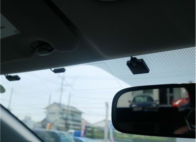 Toyota Wish 2.0 Z 2009 full