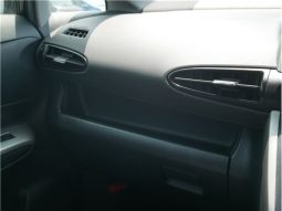 Toyota Wish 2.0 Z 2009 full