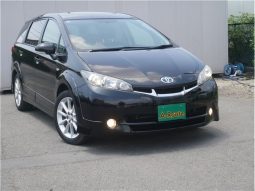 Toyota Wish 2.0 Z 2009 full