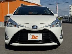 Toyota Vitz F Safety Edition Ⅲ 2019 full
