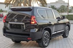 Toyota Land cruiser Prado TX-L 2010 full