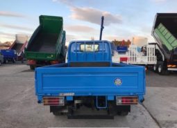 Isuzu Elf Truck Flat Body 2 tons 2004 full