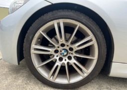 BMW 3 SERIES 2010 full