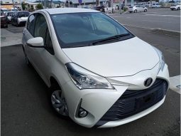 TOYOTA VITZ F SAFETY EDITION III 2019 full
