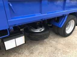 Isuzu Elf Truck 2008 full