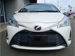 TOYOTA VITZ F SAFETY EDITION III 2019 full