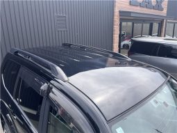 Toyota Land Cruiser Prado TX Limited 2008 full