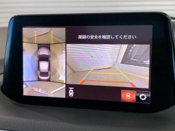 Mazda Axela 15S Proactive 2019 full