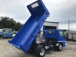 Isuzu Elf Truck 2008 full