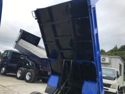 Isuzu Elf Truck 2008 full