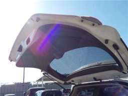 Toyota Wish 1.8S 2011 full