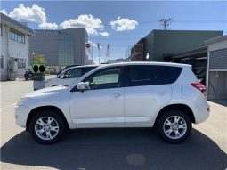 Toyota RAV4 Style 2012 full