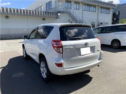 Toyota RAV4 Style 2012 full