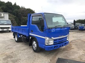 Isuzu Elf Truck 2008