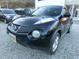 Nissan Juke 15RX 2010 full