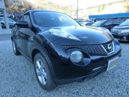 Nissan Juke 15RX 2010 full