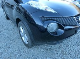 Nissan Juke 15RX 2010 full