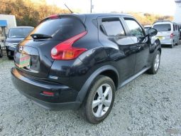 Nissan Juke 15RX 2010 full