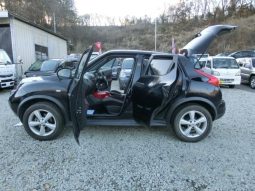 Nissan Juke 15RX 2010 full