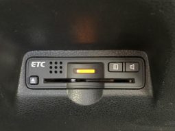 HONDA FIT G SMART STYLE EDITION 2009 full