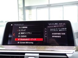 BMW X4 M40I 2019 full