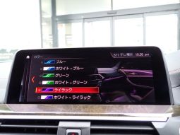 BMW X4 M40I 2019 full