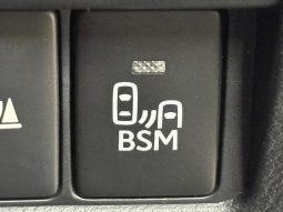 Lexus IS IS300H F SPORT 2019 full