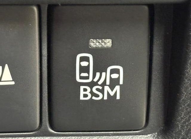 Lexus IS IS300H F SPORT 2019 full