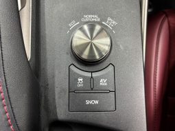 Lexus IS IS300H F SPORT 2019 full