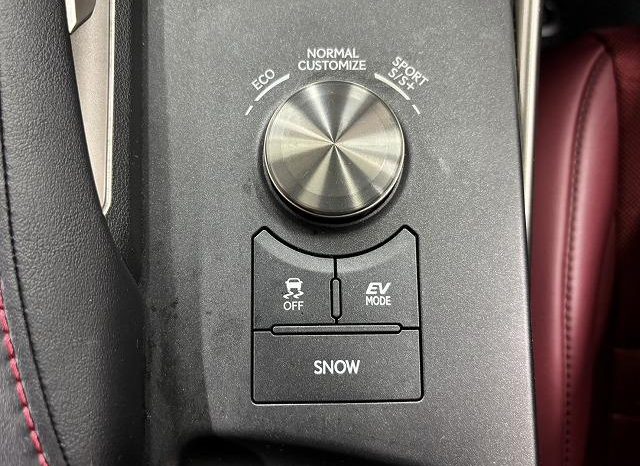 Lexus IS IS300H F SPORT 2019 full