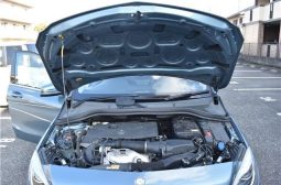 Mercedes Benz B-Class B180 Blue Effie Exclusive 2012 full