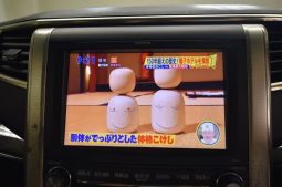 TOYOTA ALPHARD 240S PRIME SELECTION II GOLD 2011 full