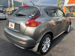 Nissan Juke 15RX 2010 full
