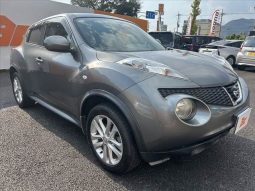 Nissan Juke 15RX 2010 full