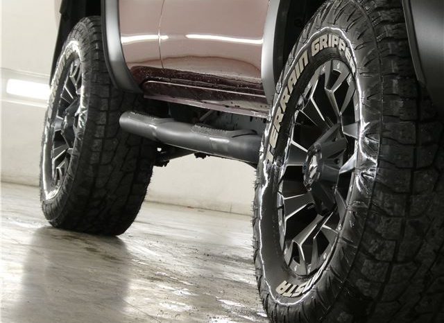 TOYOTA HILUX SURF SSR-X20TH Anniversary Edition 2004 full