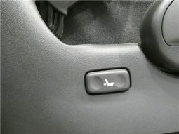 TOYOTA HILUX SURF SSR-X20TH Anniversary Edition 2004 full