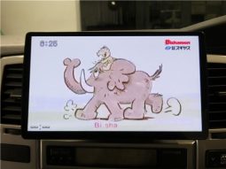 TOYOTA HILUX SURF SSR-X20TH Anniversary Edition 2004 full