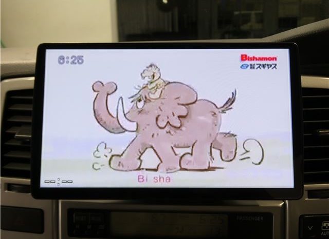 TOYOTA HILUX SURF SSR-X20TH Anniversary Edition 2004 full